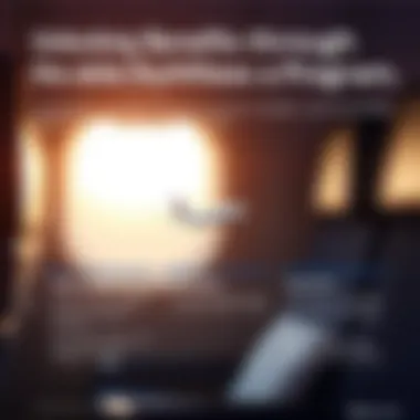 Infographic displaying the benefits of the Delta SkyMiles program