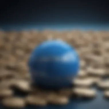 Diversified Blue Chip Dividends Portfolio Blue Chip Dividends Portfolio