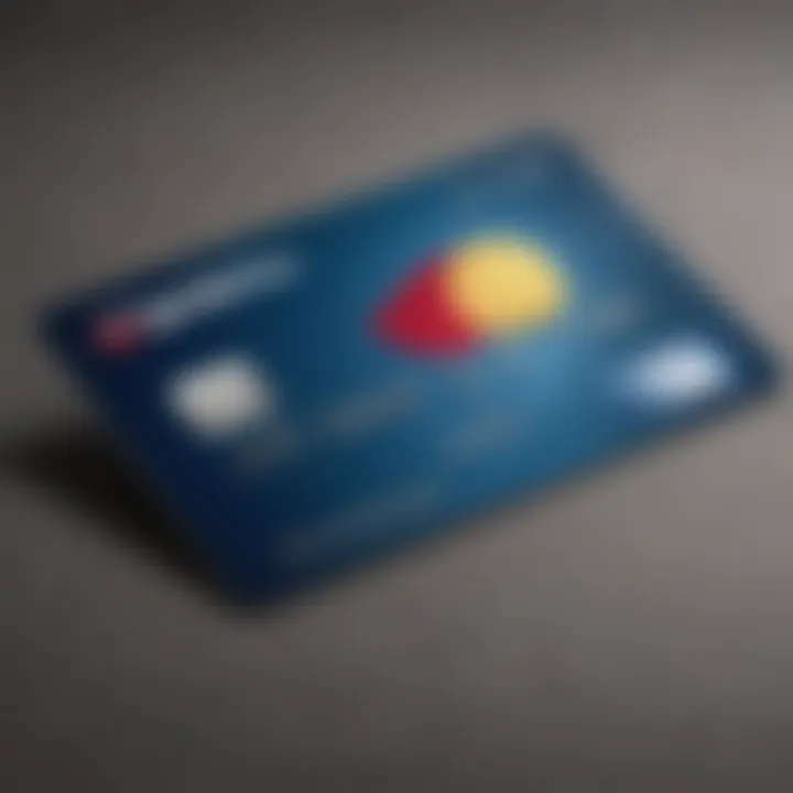 In-depth analysis infographic of Capital One credit card features