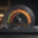 Visual representation of credit score components
