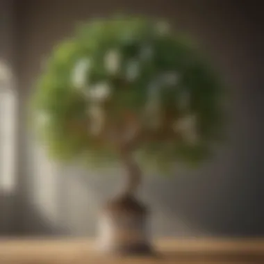 Nurturing Deposit Growth Like a Tree Creative depiction of a money tree with growing currency