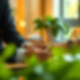 Illustration of financial flexibility with credit