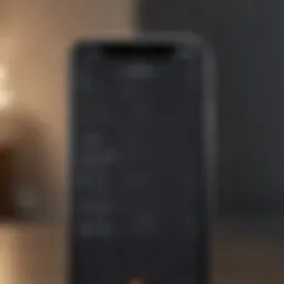 Visual representation of business expense tracker app user interface