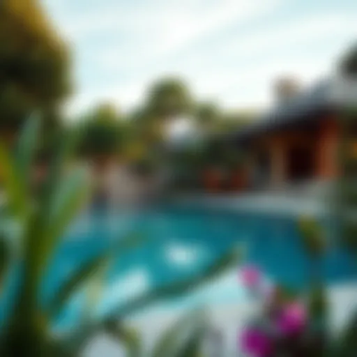 Luxurious swimming pool surrounded by a serene garden