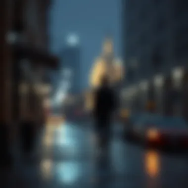 Operational framework of government-sponsored enterprises