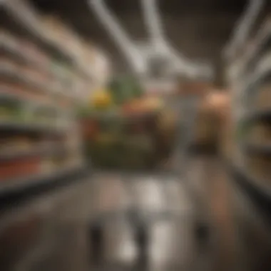 Grocery Cart Sophistication Sophisticated shopping cart filled with groceries