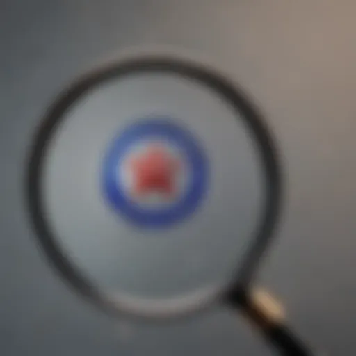 Magnifying glass focusing on Occidental Petroleum Corp logo