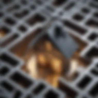 Unlocking Financial Solutions House key in a maze