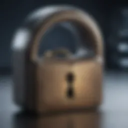 Secure Lock Icon