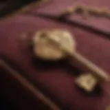 Ornate golden key on a velvet cushion