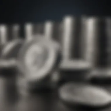 Comprehensive Financial Overview of Joining Silver Singles Detailed Cost Evaluation for Silver Singles Membership