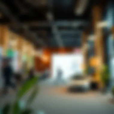 Repayment options overview