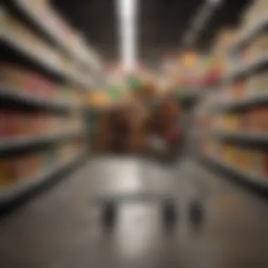 An organized shopping cart filled with budget-friendly food products.