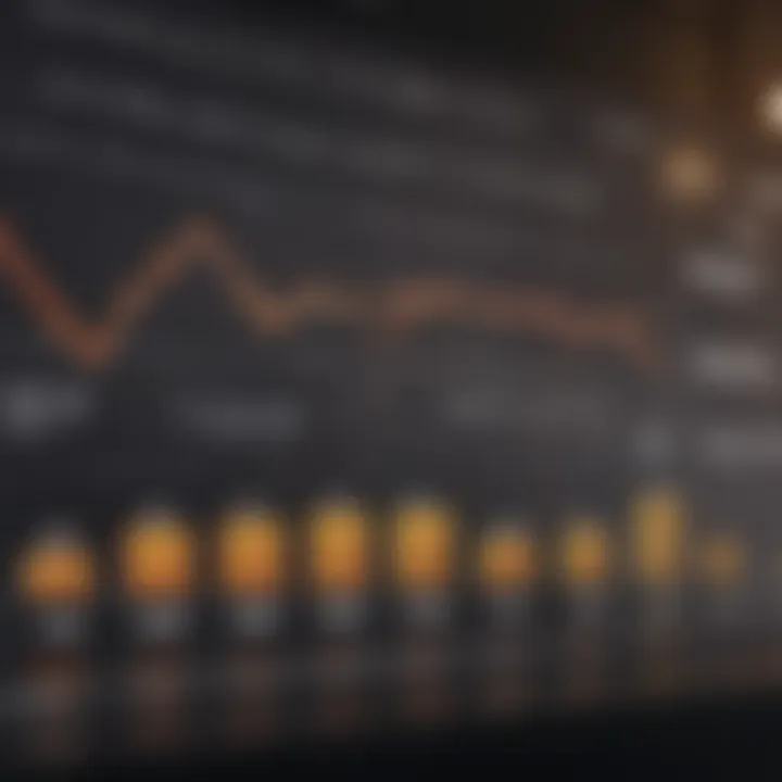 Chart depicting borrower profiles and their influence on loan amounts