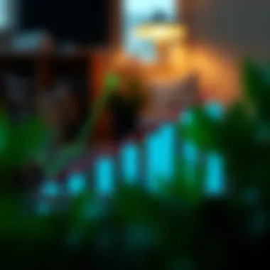 Loan Costs Influenced by Down Payment Size Chart depicting overall loan costs influenced by down payment size and other factors