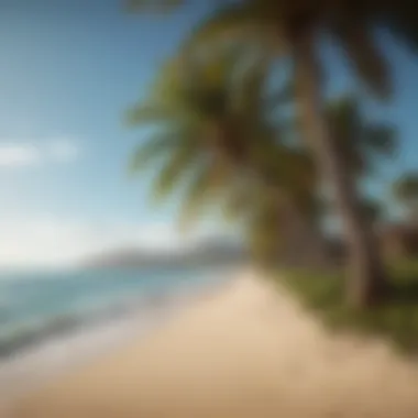Enhanced Travel Experiences Luxurious travel destination with palm trees and ocean