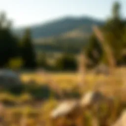 A scenic plot of land suitable for purchase