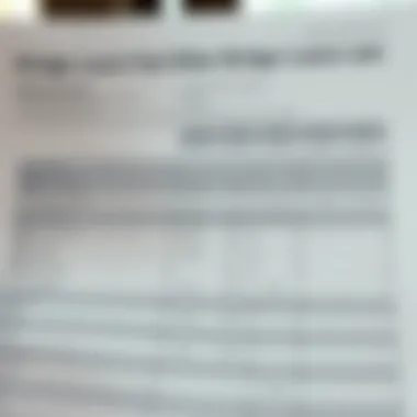 Comparing Bridge Loans to Other Financing Options Comparison chart of various loan types