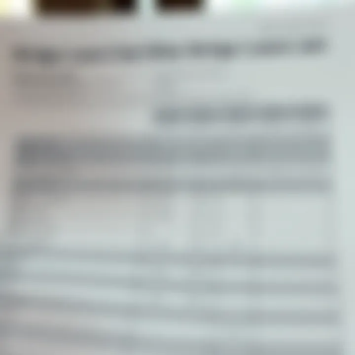 Comparing Bridge Loans to Other Financing Options Comparison chart of various loan types